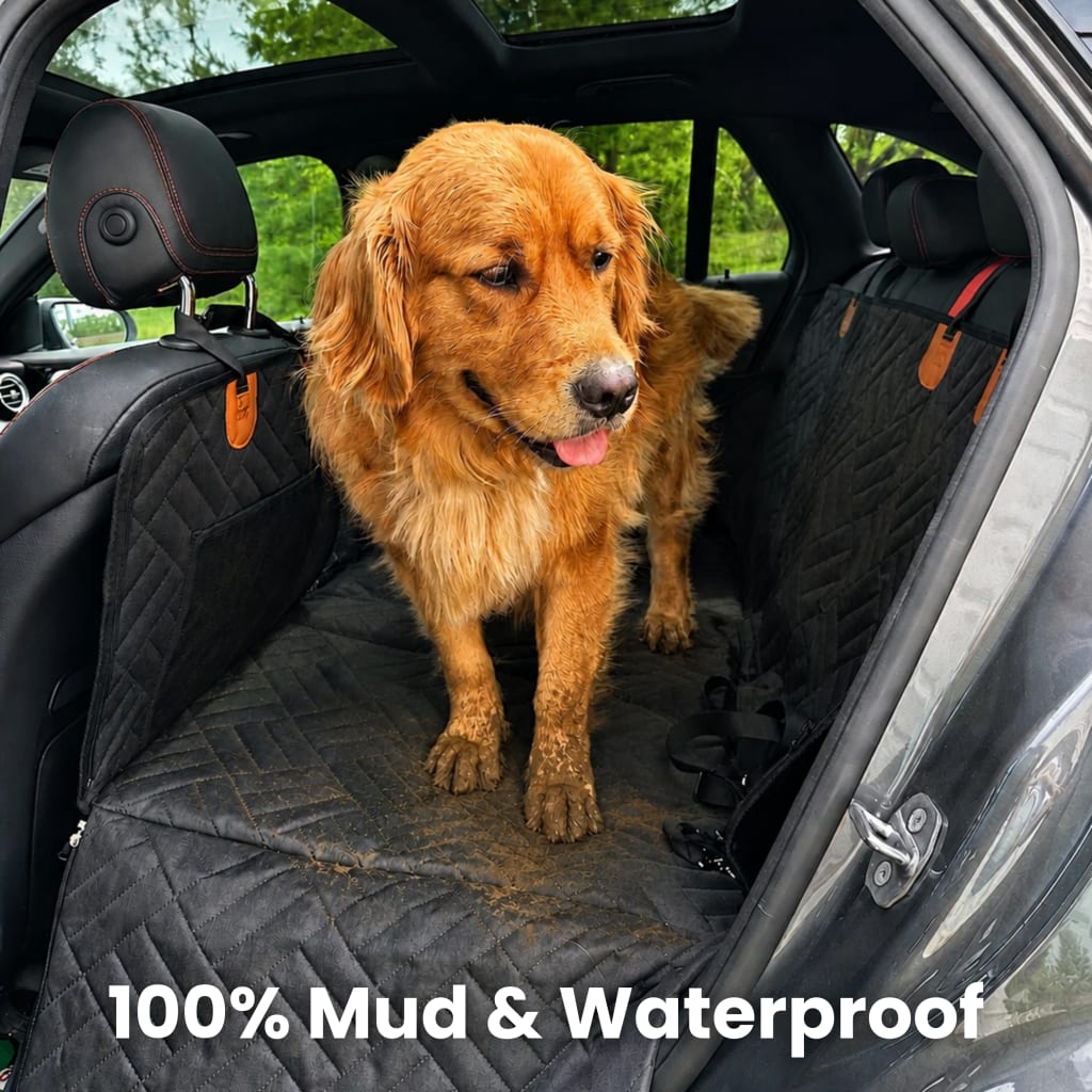 River Wood Pet Carrier