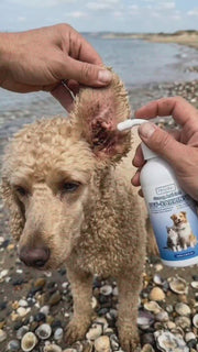 Riverwood. Anti-Itch Pet Ear Rinse