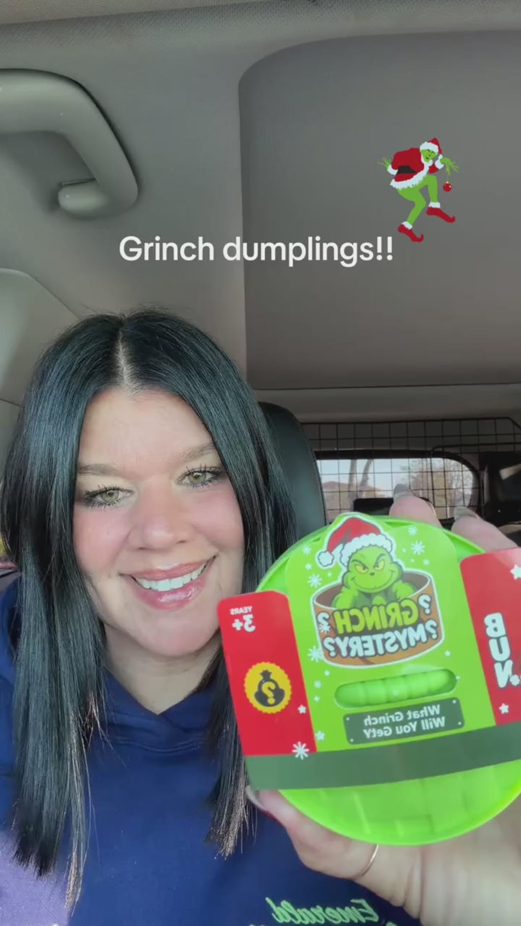 Christmas Grinch Dumpling Squishy, Mystery Box
